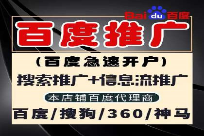 竞价广告赚钱案例：从新手到专家